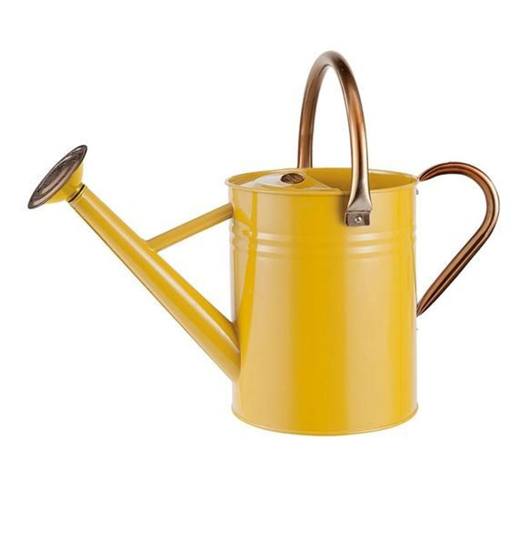 Watering Can Heritage Mustard