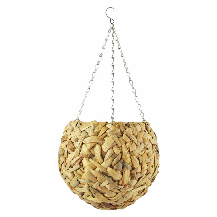 Globe Hanging Basket Water Hya 30cm Four Seasons Nursery