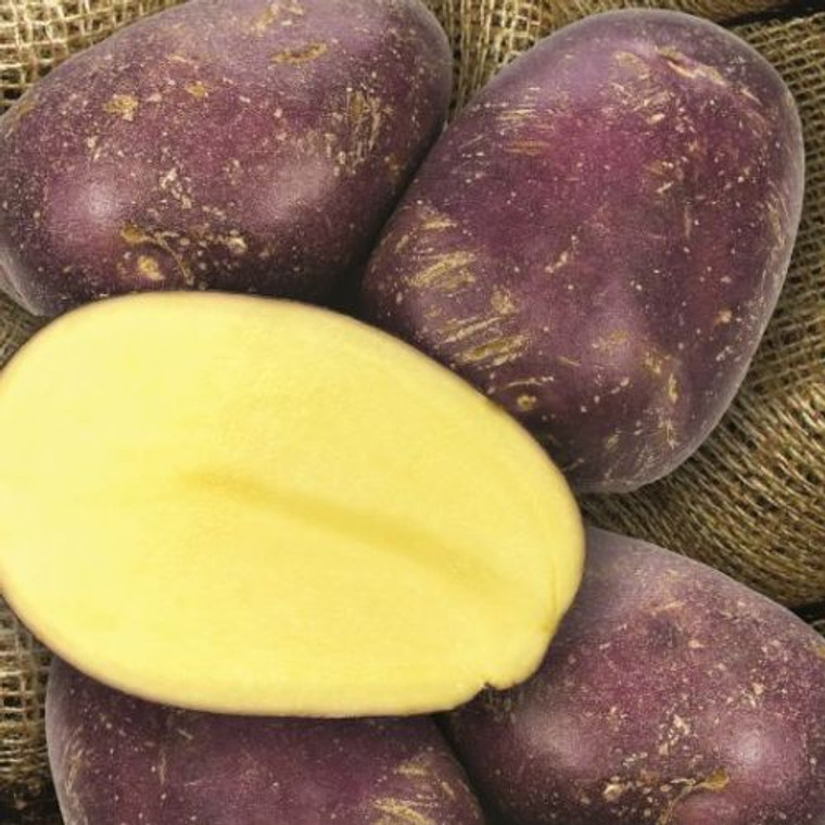 Royal Blue Seed Potato 1kg Packet