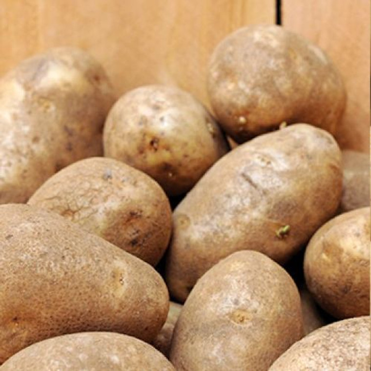 Russet Burbank Seed Potato 1kg Packet