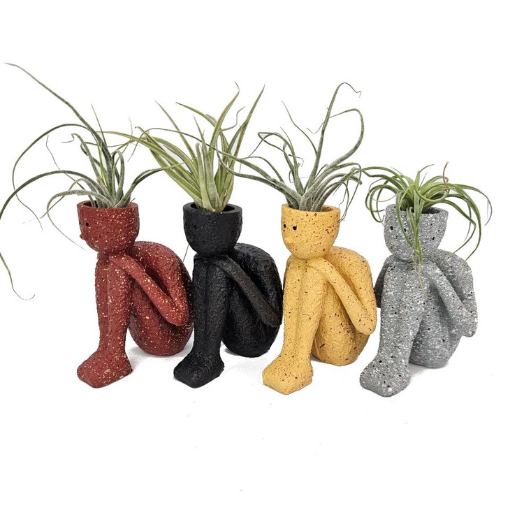 Tillandsia Thinkers