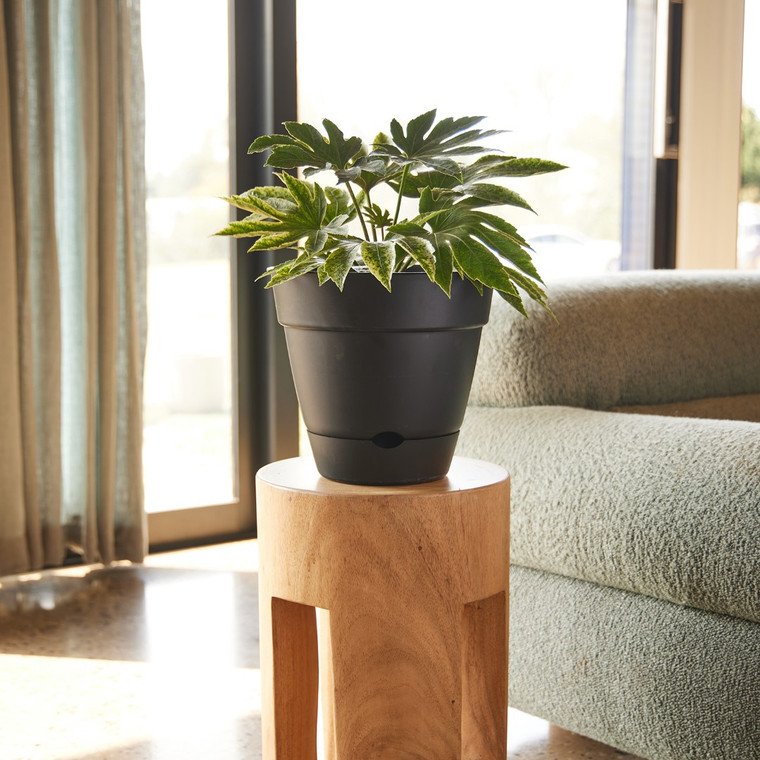 Leonard Self Watering Pot Black