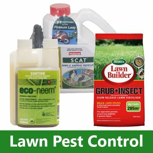 Lawn Care | Pest Control