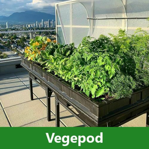 Vegepod Raised Beds