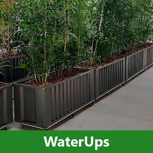 Waterups Raised Wicking Beds