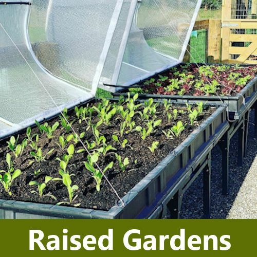 Raised Gardens