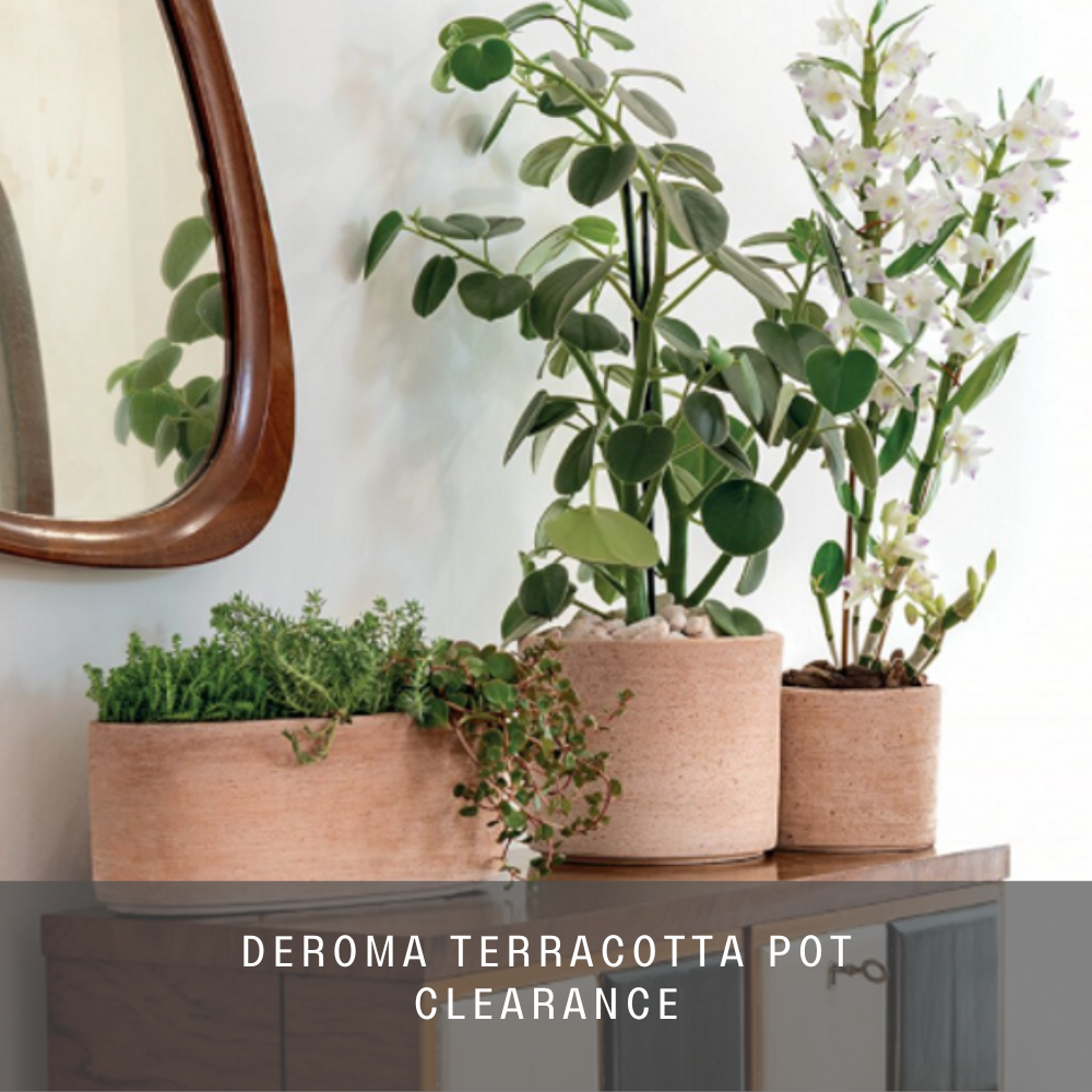 Deroma Terracotta Clearance sale