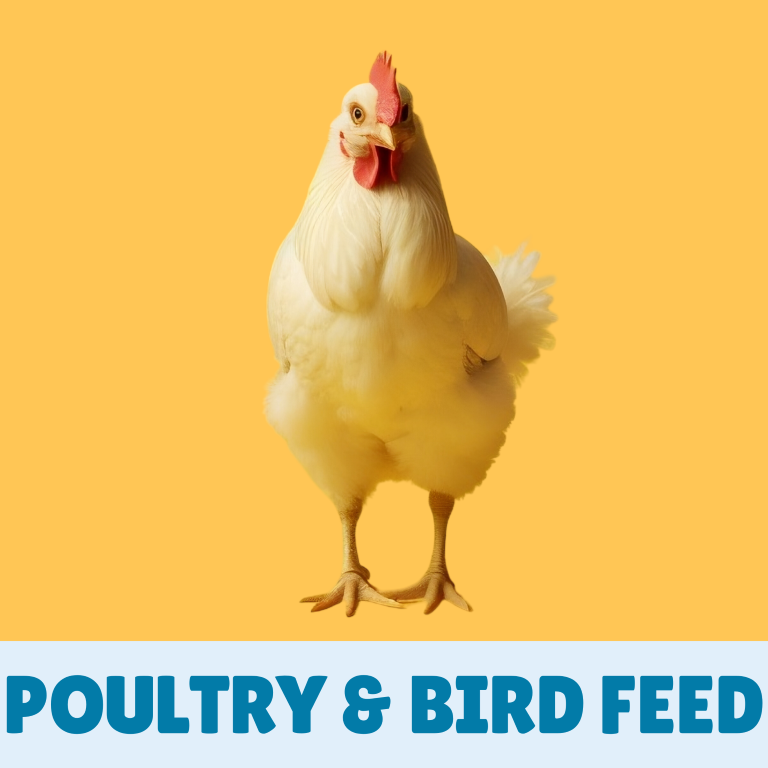 Poultry and Bird Food