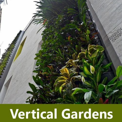 Vertical Gardens