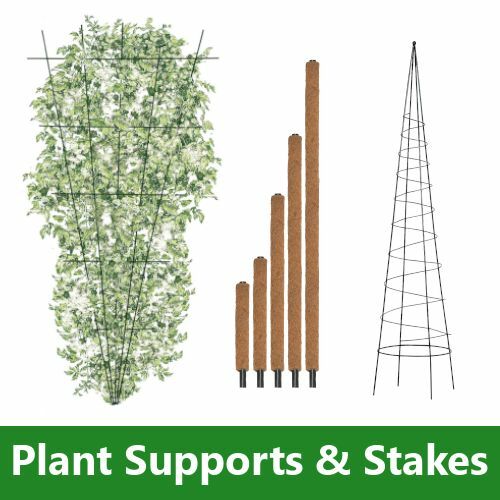 Plant Supports