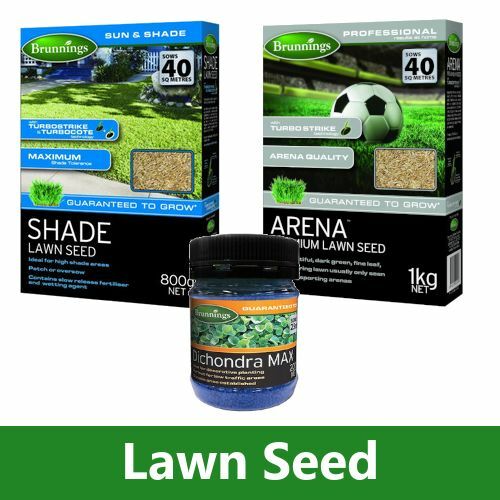Lawn Care | Lawn Seeds