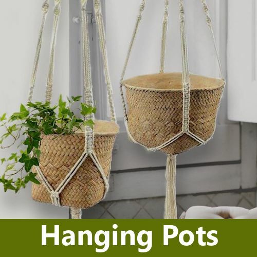Hanging Baskets & Pots