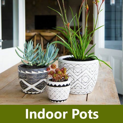 Indoor Pots