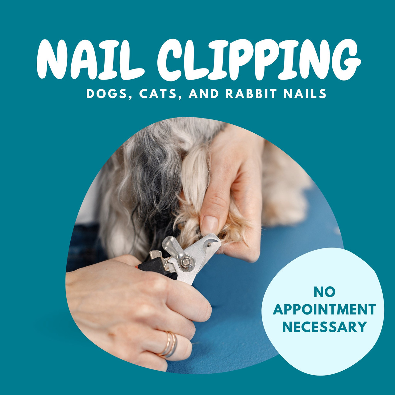 Nail Clipping Service Wonderworld Aquarium & Pet Centre