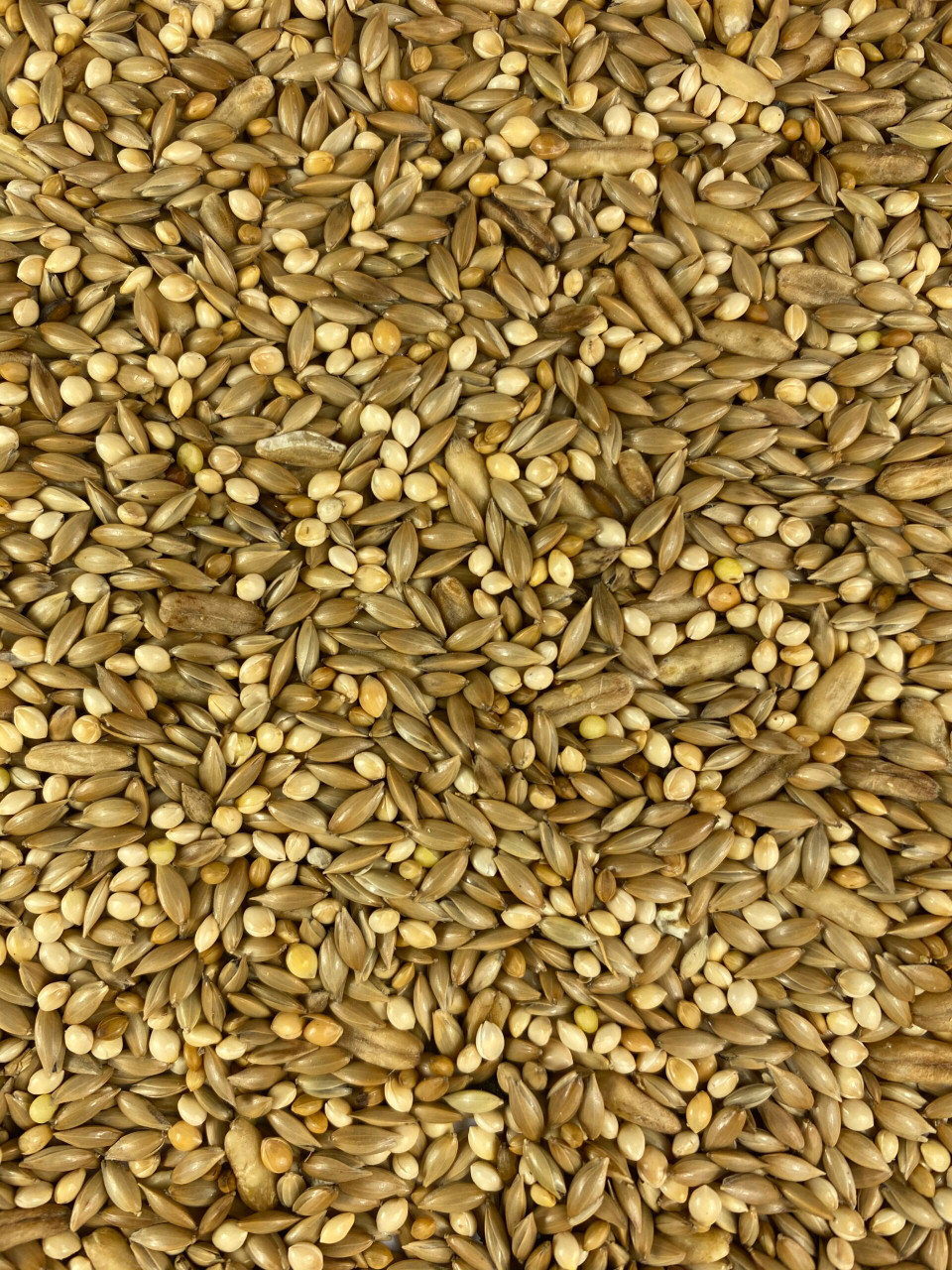 Curated visual reference: Budgie Seed Mix Bestseller Reference: Topflite Budgie Mix Premium Seed Mix For Budgies