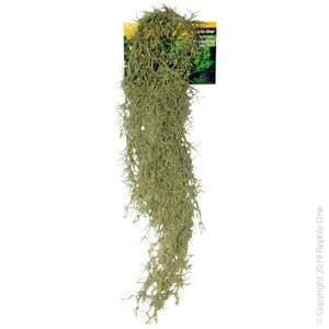 Reptile One Hanging Spanish Moss Grey 70cm Reptile One Hanging Spanish Moss Grey 70cm