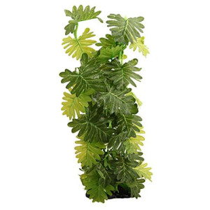 Reptile One Plant - Philodendron Selloum 40cm Reptile One Plant - Philodendron Selloum 40cm