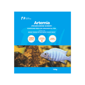Frozen Nutrition Brine Shrimp Artemia, Brine Shrimp is a healthy and nutritious diet for your fish. Frozen Nutrition Brine Shrimp Artemia, Brine Shrimp is a healthy and nutritious diet for your fish.