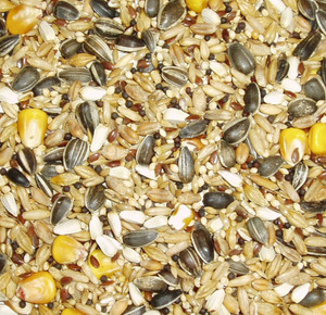 Topflite Parrot Mix Topflite Parrot Mix