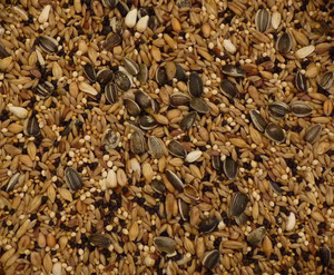 Loose Topflite Aviary Bird Seed Mix