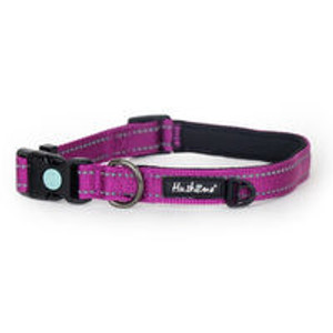 Huskimo Trekpro Collar - Aurora, The Trekpro collar has a neoprene backing for chafing protection and a locking safety buckle. The collar also features an ID ring and reflective stitching for visibility when walking in the early morning or evening. Huskimo Trekpro Collar - Aurora, The Trekpro collar has a neoprene backing for chafing protection and a locking safety buckle. The collar also features an ID ring and reflective stitching for visibility when walking in the early morning or evening.