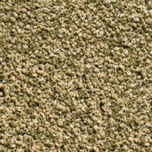 Sera Vipagran Tropical Granules, The slow-sinking granules with excellent digestibility retain their shape particularly well and do not cloud the water. Sera Vipagran Tropical Granules, The slow-sinking granules with excellent digestibility retain their shape particularly well and do not cloud the water.
