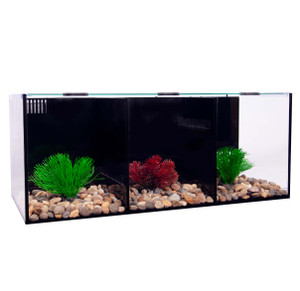 Aqua One Betta Condo Trio 60x20x20cm, Aquarium set comes complete with: Tank, Glass heater, Integrated filter and Water conditioner Aqua One Betta Condo Trio 60x20x20cm, Aquarium set comes complete with: Tank, Glass heater, Integrated filter and Water conditioner