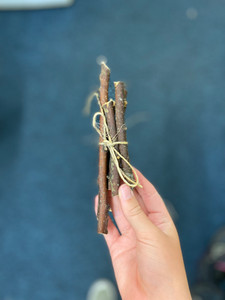 Apple Stick Bundle | Healthy Chews for Small Animals