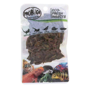 Front of Probugs Black Soldier Fly Larvae 20g Pouch