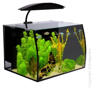 Front of the Aqua One Arc 30 Glass Aquarium 30L 40lx32.5dx28h cm
