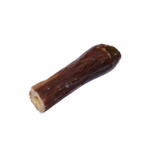 Single busy Bone