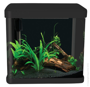 Front of Aqua One Lifestyle 21 Complete Glass Aquarium 32cm - 21L | Gloss Black