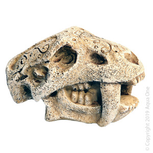 Aqua One Ornament - Mini Dinosaur Head W Fangs 5x7x4.5cmh Aqua One Ornament - Mini Dinosaur Head W Fangs 5x7x4.5cmh