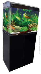 Aqua one Ar620/620T Aquastyle black cabinet 76cm high