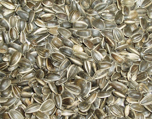 Topflite NZ Sunflower 1kg Topflite NZ Sunflower 1kg