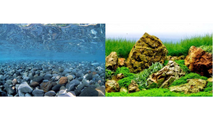 River-Rock/Sea Of Green 30cm Per Metre River-Rock/Sea Of Green 30cm Per Metre