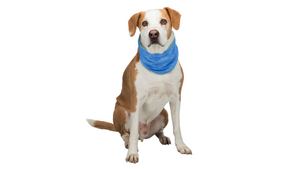 Trixie Cooling Bandana Large 38x52cm Trixie Cooling Bandana Large 38x52cm