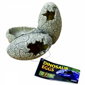 Unpackaged Exo Terra Dinosaur Eggs | Hideout & Water Dish