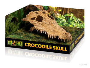 Exo Terra Decor - Crocodile Skull Exo Terra Decor - Crocodile Skull