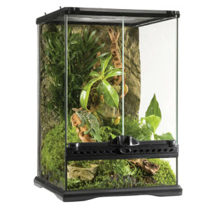 Exo Terra Glass Terrarium 30 X 30 X 45cm Exo Terra Glass Terrarium 30 X 30 X 45cm
