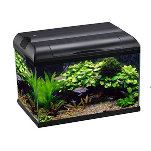 Front view of Aqua One Ecostyle 81 Rectangular Aquarium in Black | 127L