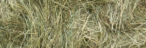 Hay Bag - Meadow Hay Bag - Meadow