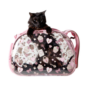Ibiyaya Transparent Pet Carrier - Pink Valentine Ibiyaya Transparent Pet Carrier - Pink Valentine