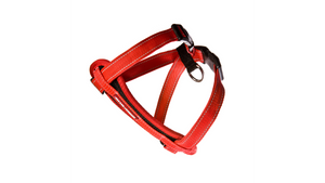 EzyDog Chest Plate Harness M Red H09mr EzyDog Chest Plate Harness M Red H09mr