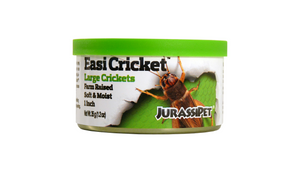 Jurassi-Diet Easi Cricket - Large 35g