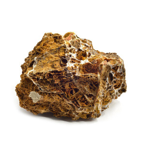 A single piece of Maple Leaf Rock