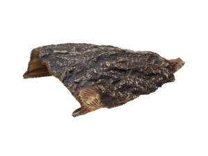 Pleco Ceramics Aquarium Cave - New Pleco Ceramics Aquarium Cave - New