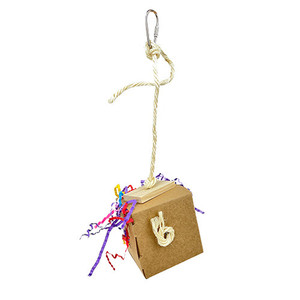 Avian Care Shred And Find Box Medium