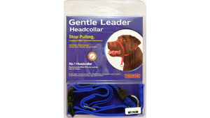 Gentle Leader - Head Collar - Blue Med Gentle Leader - Head Collar - Blue Med