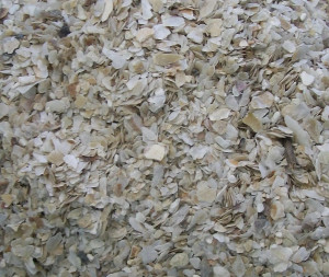 Loose Topflite Oyster Grit Coarse | Natural Calcium suuplement for Birds